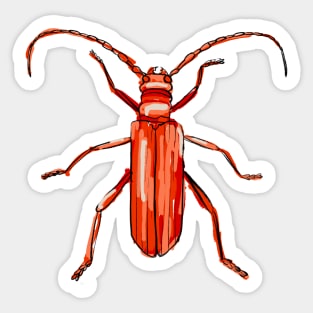 Red longhorn beetle Sticker